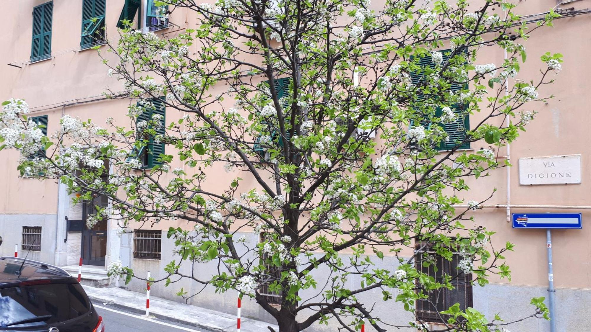 Ca'Saetta Bnb Holiday Home - Park & Go To Genoa Aquarium And Old Town Eksteriør bilde